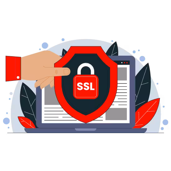 Firewall--SSL-Installation at Alive Inc