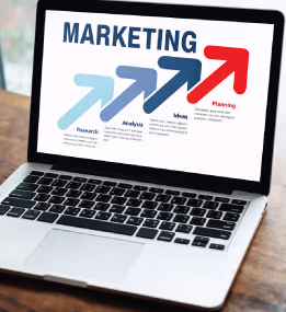 aliveinc-website-design