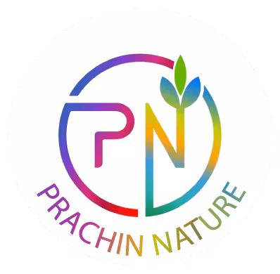 Prachin